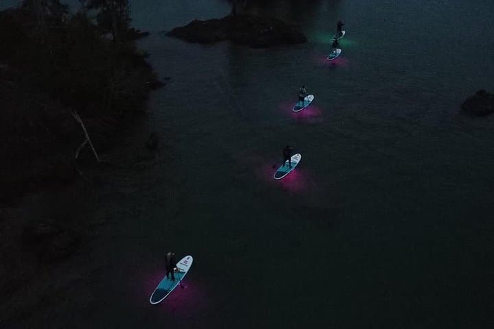 Glow Kayak Night Cruise: Paddle the Gordon Bay Islands at Dusk photo 4