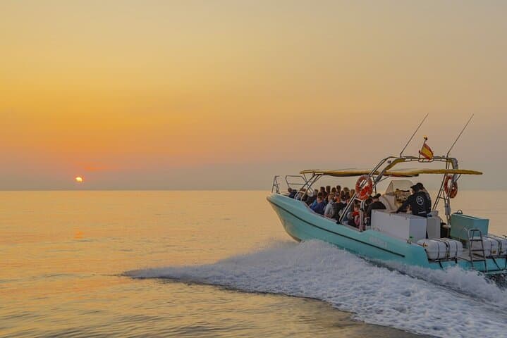 Mallorca Dolphin Watching from Port Alcudia — Small‑Group Morning Boat Tour photo 3
