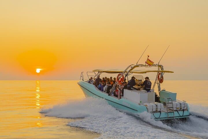 Mallorca Dolphin Watching from Port Alcudia — Small‑Group Morning Boat Tour photo 2