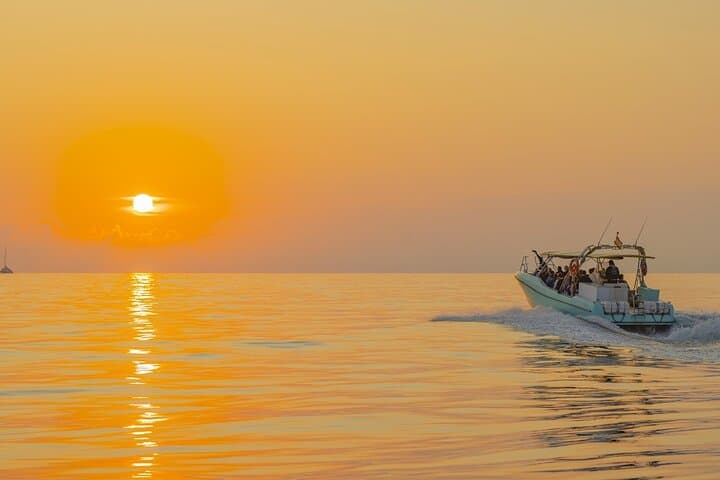 Mallorca Dolphin Watching from Port Alcudia — Small‑Group Morning Boat Tour photo 4