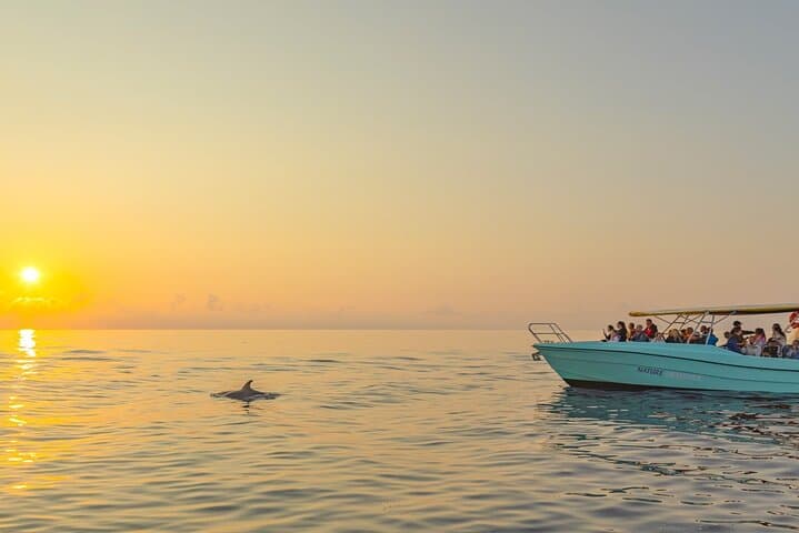 Mallorca Dolphin Watching from Port Alcudia — Small‑Group Morning Boat Tour