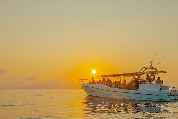 Mallorca Dolphin Watching from Port Alcudia — Small‑Group Morning Boat Tour photo 5