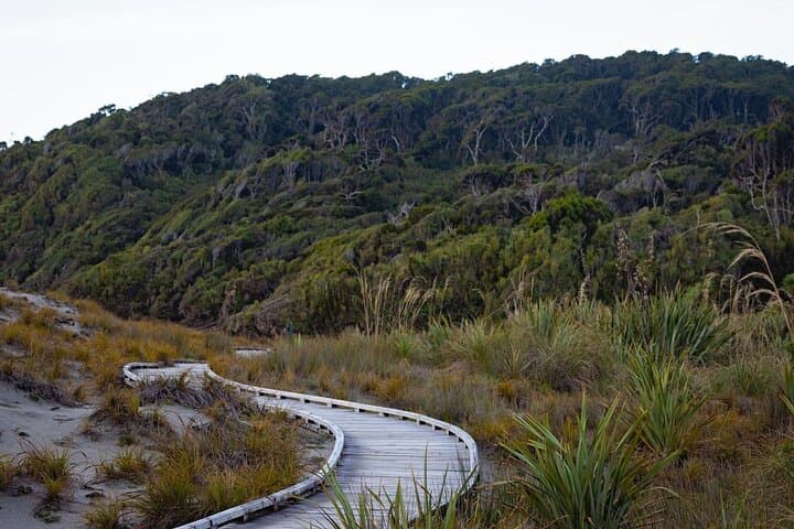 Franz Josef to Queenstown via Wanaka: Haast Pass Small-Group Scenic Tour photo 5