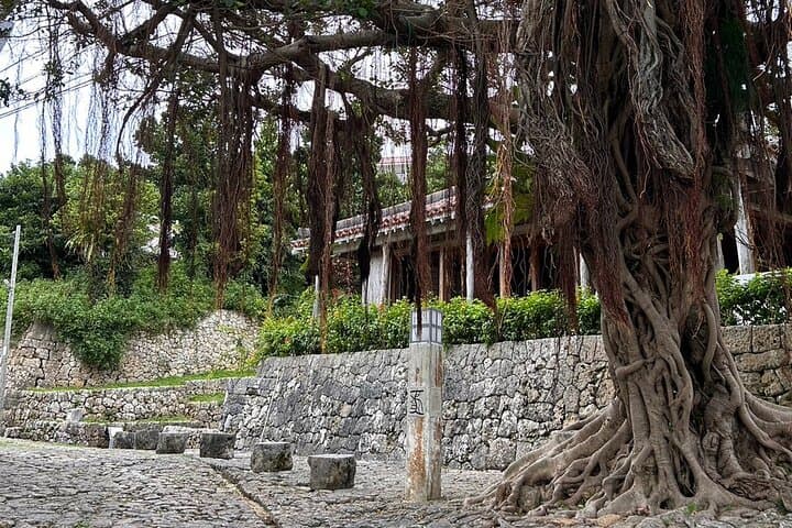 Phantom Cafe E-Bike Tour through Shuri & Shikina Gardens photo 4