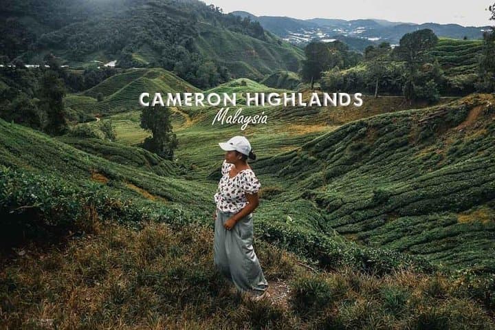 Cameron Highlands Day Trip from Kuala Lumpur — Tea Plantations, Waterfalls & Strawberry Farms photo 1