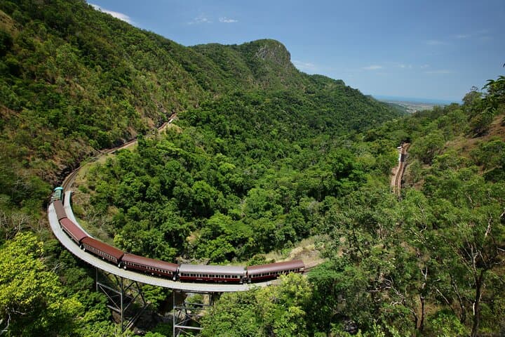 Kuranda Scenic Rail, Skyrail Rainforest Cableway & Hartley's Crocodile Adventure Day Tour photo 2