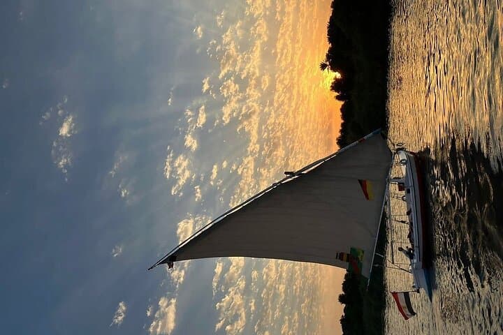 Private Felucca to Kitchener Island: Aswan Botanical Garden Tour photo 3