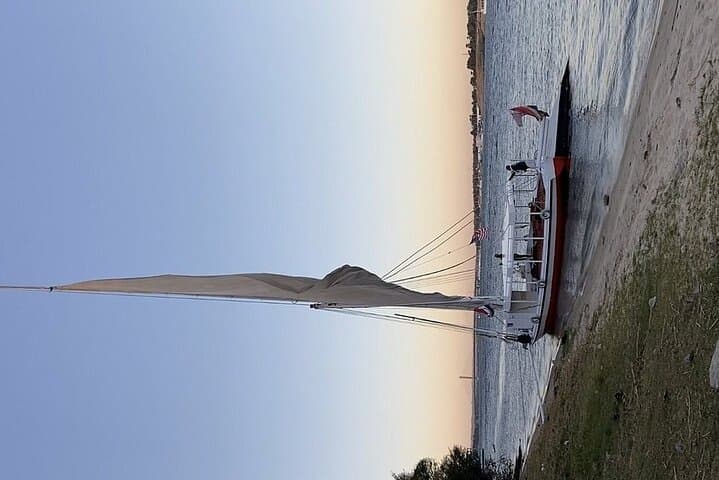 Private Felucca to Kitchener Island: Aswan Botanical Garden Tour photo 4