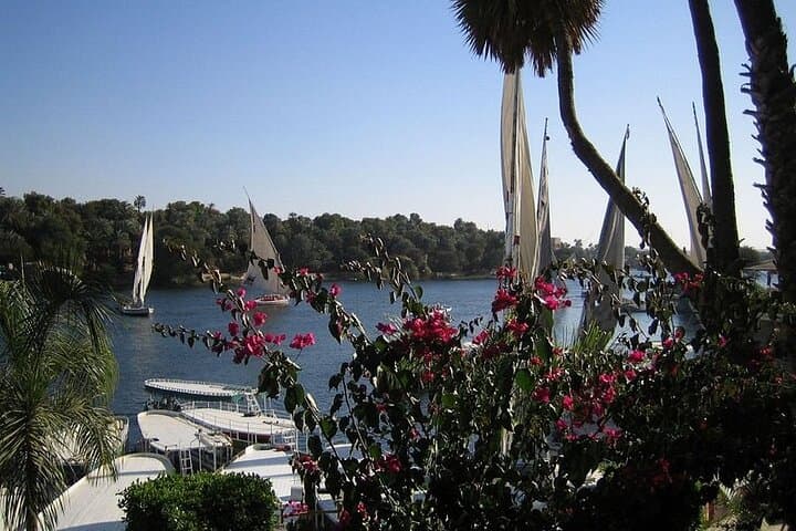 Private Felucca to Kitchener Island: Aswan Botanical Garden Tour photo 1