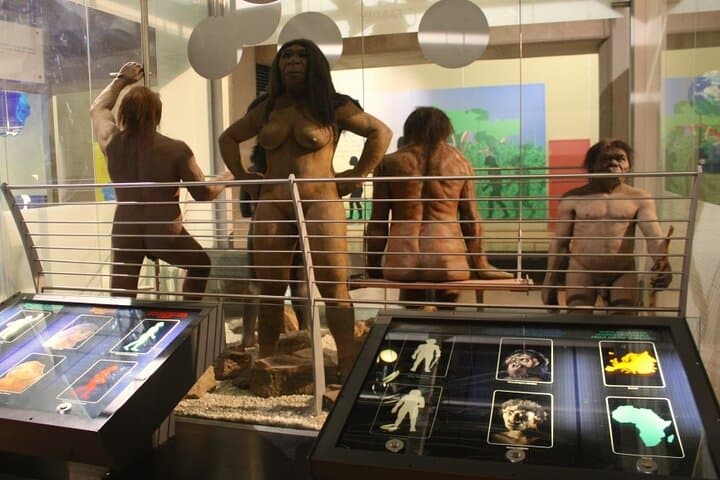 Full-Day Cradle of Humankind Tour: Maropeng, Wonder Caves & Game Reserve