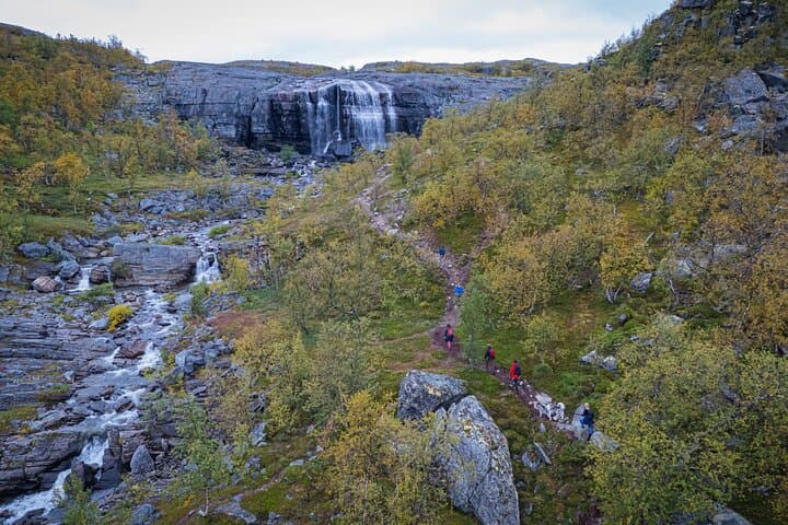 Half-Day Hike to Orvvosfossen Waterfall from Alta: Forest Trails & River Views photo 4