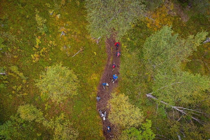 Half-Day Hike to Orvvosfossen Waterfall from Alta: Forest Trails & River Views photo 5
