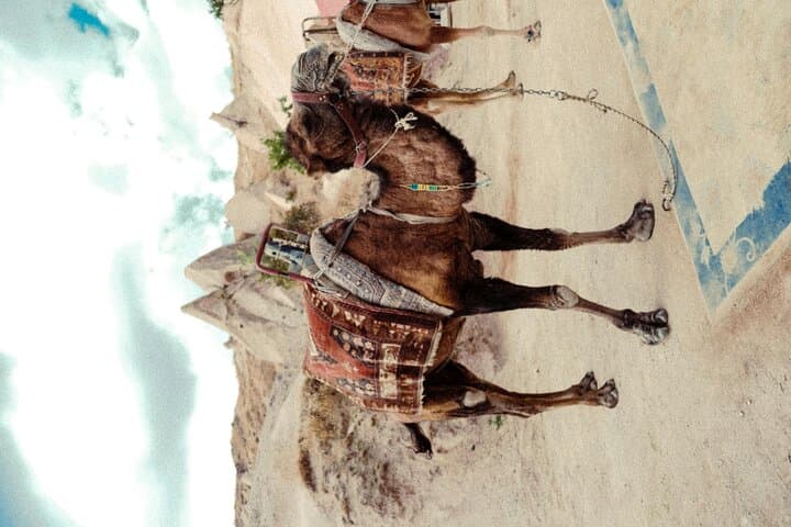 Ride Through Time: Camel Trekking Across Cappadocia’s Fairy Chimneys photo 4