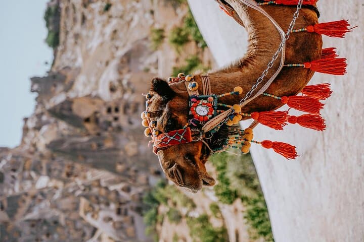 Ride Through Time: Camel Trekking Across Cappadocia’s Fairy Chimneys photo 2