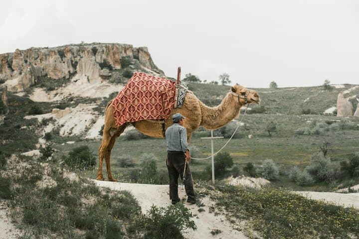 Ride Through Time: Camel Trekking Across Cappadocia’s Fairy Chimneys
