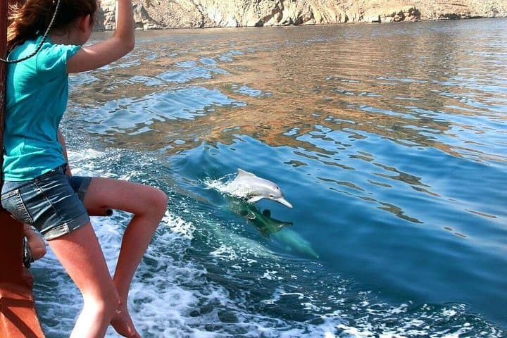 Khasab Day Trip from Dubai: Dhow Cruise, Dolphin Watching & Telegraph Island Snorkel photo 2