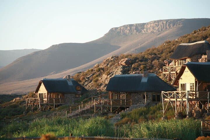 Aquila Reserve Day Safari from Cape Town — Big Five, Lunch & Wine Tasting photo 4