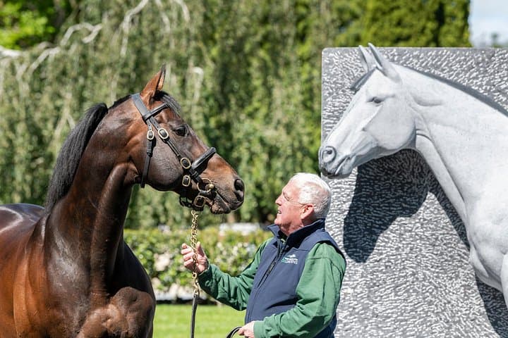 Irish National Stud & Gardens — Skip-the-Line Guided Entry to Racehorses & Japanese Gardens