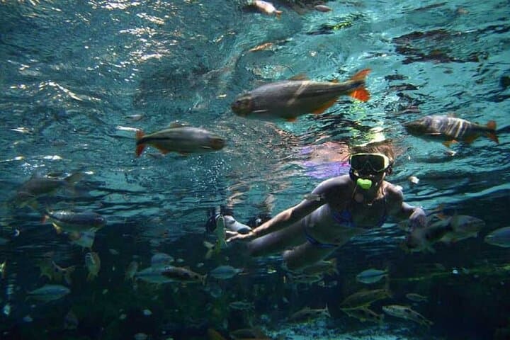 Private Multiday Pantanal & Chapada dos Guimarães Adventure (Nobres Snorkeling Included)