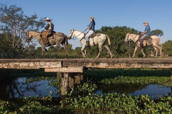 Private Multiday Pantanal & Chapada dos Guimarães Adventure (Nobres Snorkeling Included) photo 2