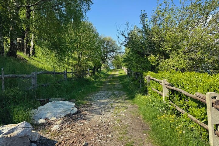 Panoramic Hiking Tours Around Lake Como: Private Guided Trails from Milan, Como & Varenna photo 4