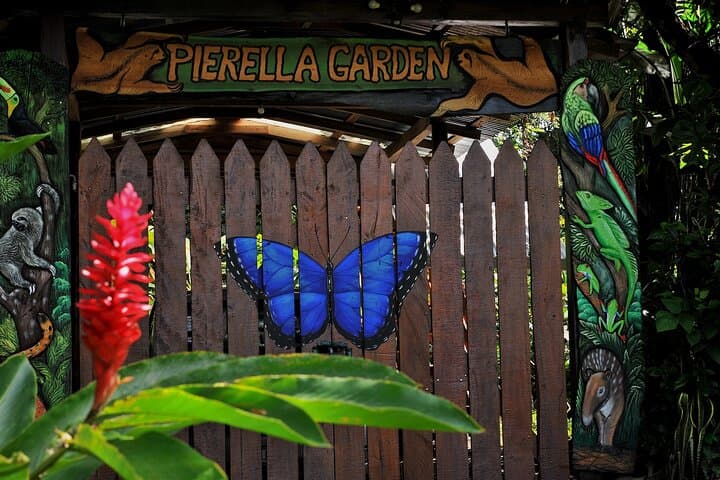 La Pierella Rainforest Walk & Chocolate Experience in Sarapiquí photo 5