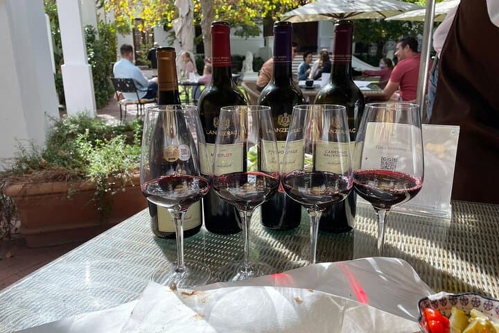 Private Wine Tour: 20 Tastings in Stellenbosch & Franschhoek