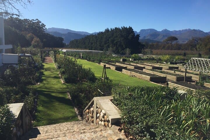 Private Wine Tour: 20 Tastings in Stellenbosch & Franschhoek photo 4