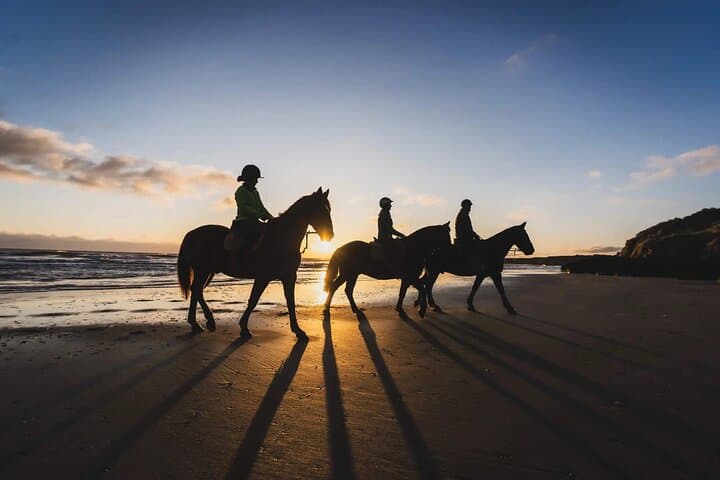 Mindful Horseback Ride in Kissamos: Falasarna Beach & Olive Grove Escape photo 1
