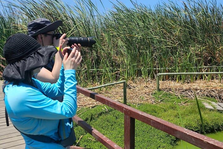 Lima Birdwatching & Landscaping Tour: El Olivar to Miraflores Cliffs photo 3