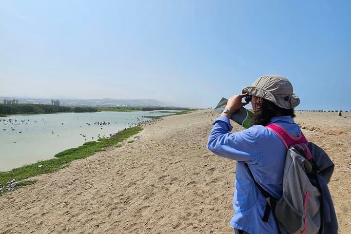 Lima Birdwatching & Landscaping Tour: El Olivar to Miraflores Cliffs photo 2