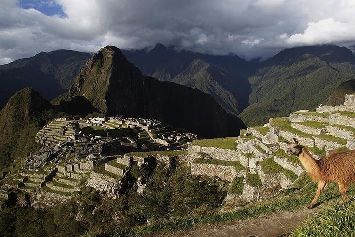Machu Picchu Full-Day Tour: All-Inclusive Visit from Cusco to the Citadel photo 5