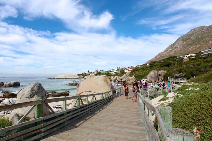 Table Mountain, Boulders Beach & Cape Point — Cape Peninsula Private Day Tour photo 3