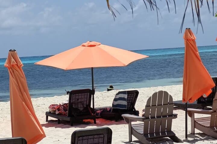 Cozumel Eco Nature Escape & Otoch Mayan Experience — Punta Sur Snorkel, Lighthouse & Tequila Tasting photo 4