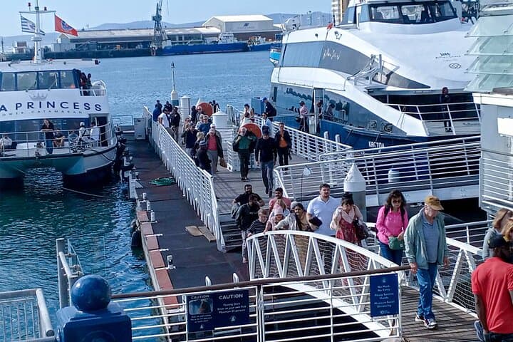 Robben Island & Table Mountain — Pre‑Booked Tickets for a Half‑Day Cape Town Combo photo 5