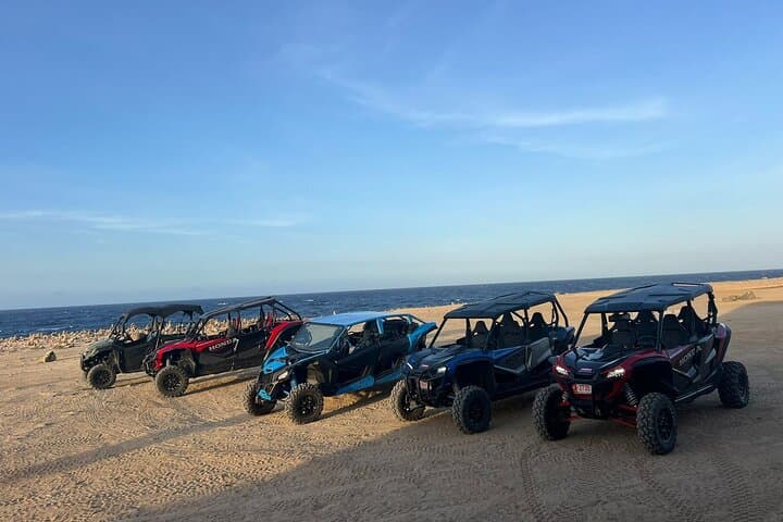 Explore Aruba Off-Road: Honda Talon 4-Seater UTV Rental