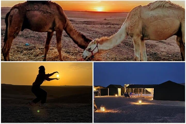 Agafay Desert Sunset Camel Ride & Dinner Show from Marrakech