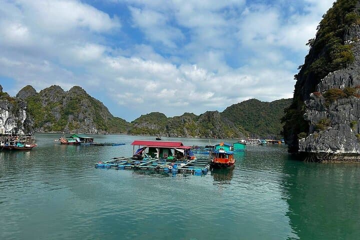 Private Canoe Adventure: Kayak Halong & Lan Ha Bay from Halong photo 3