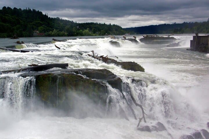 Willamette River Scenic Cruise to Willamette Falls — 2-Hour Private Boat Tour in Portland photo 6