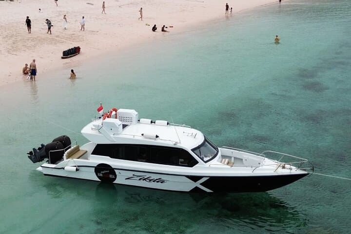 One Day Komodo Speedboat Tour: Dragons, Pink Beach & Snorkeling