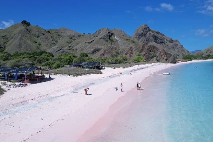 One Day Komodo Speedboat Tour: Dragons, Pink Beach & Snorkeling photo 3