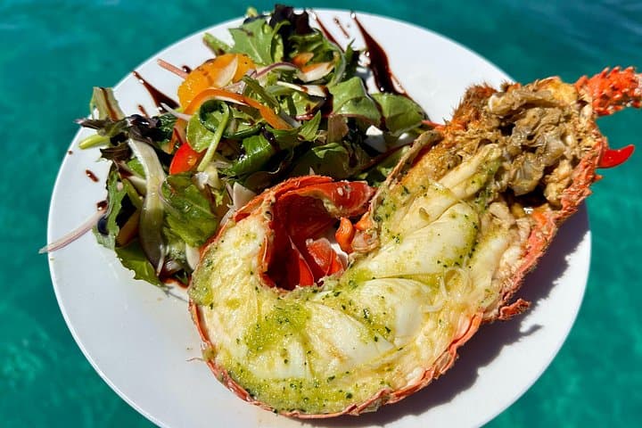 Mandurah Wild Seafood Experience: Catch Western Rock Lobster and Dolphin Cruise photo 2
