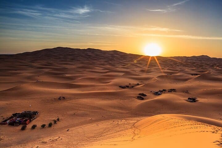 Sunrise Liwa Desert Safari: Bedouin Coffee, Camels & Dune Bashing Near Abu Dhabi
