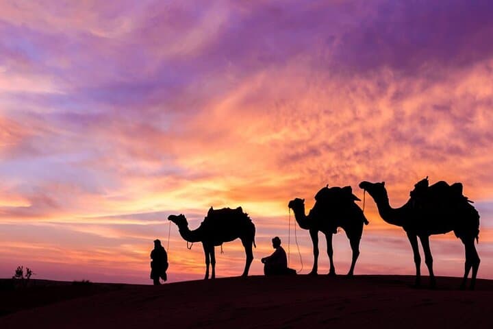 Sunrise Liwa Desert Safari: Bedouin Coffee, Camels & Dune Bashing Near Abu Dhabi photo 2