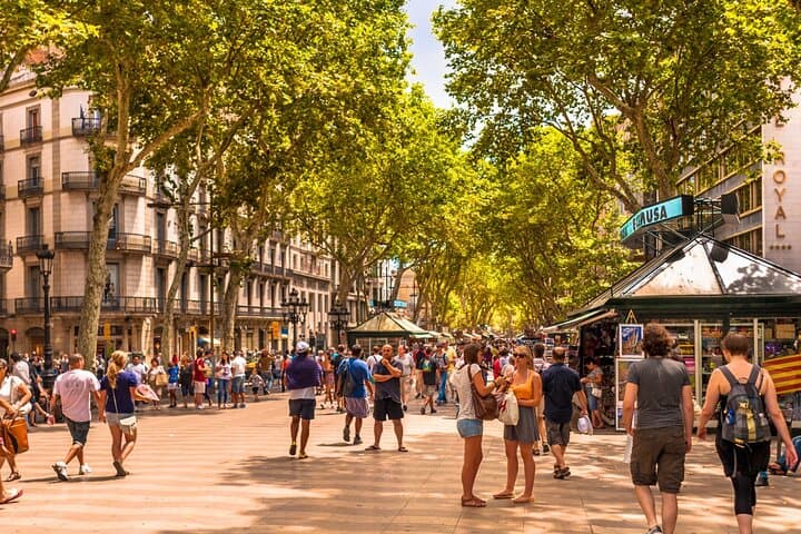 Gothic Quarter Walk and Catamaran: Barcelona Half-Day Guide photo 2