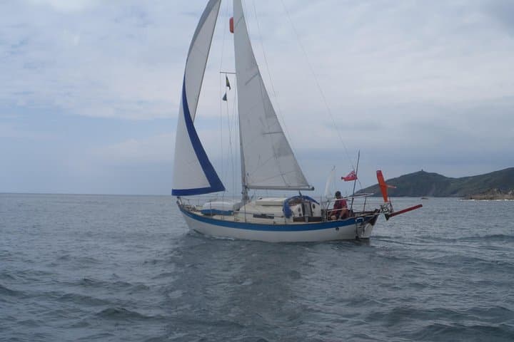 Helford River Private Boat Tour: Cornish Coastal Cruise & Wildlife Watching photo 2