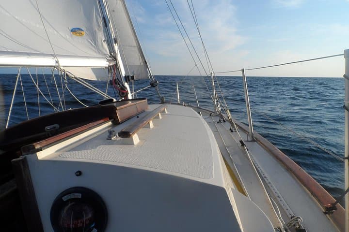 Helford River Private Boat Tour: Cornish Coastal Cruise & Wildlife Watching photo 3