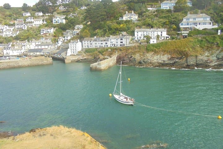 Helford River Private Boat Tour: Cornish Coastal Cruise & Wildlife Watching photo 4
