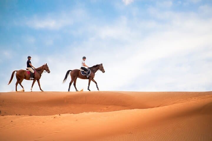 Doha Desert Horseback Riding: Guided Arabian Horse Experience with Transport