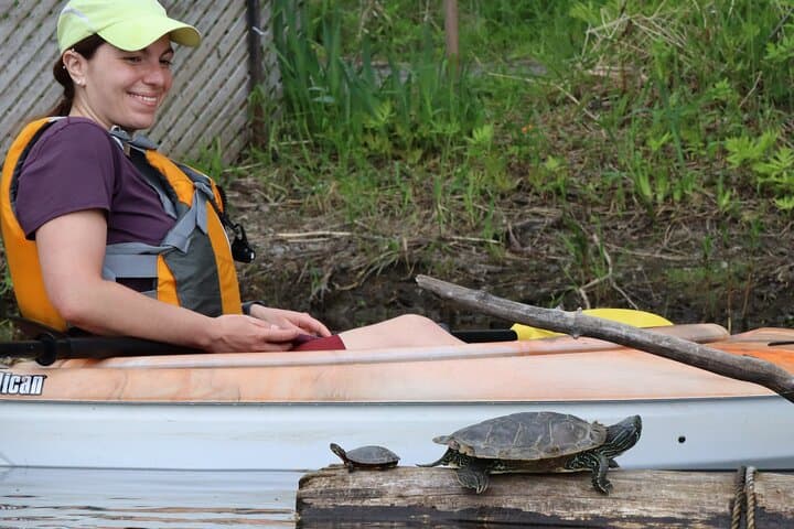 Petrie Island Kayak Tour — Turtle Watching on Ottawa's Ecological Reserve